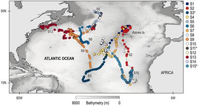 Oceanic Diel Vertical Movement Patterns of Blue Sharks Vary With Water Temperature and Productivity to Change Vulnerability to Fishing